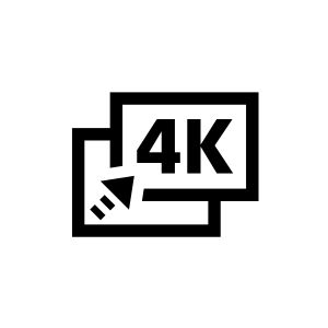 Dynamic 4k Gaming logo