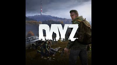 dayz video game