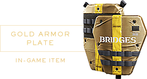 Gold Armor Plate Pre-Order Bonus Image