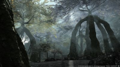 Final Fantasy XIV: A Realm Reborn Screenshot 9