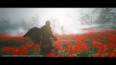 ghost-of-tsushima-new-gallery-img-2-ps4-us-12dec19