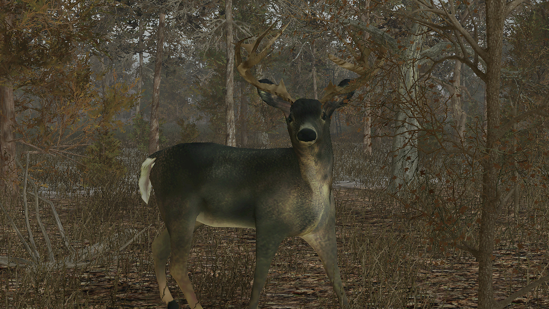 Hunting ps4. Pro Deer Hunting 2. Deer Path (трейлер). Deer Simulator Ultimate. Deer Hunter Classic.