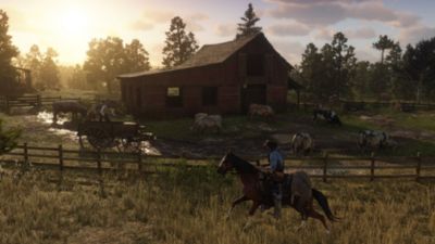 red dead redemption 2 ps4 pro graphics settings