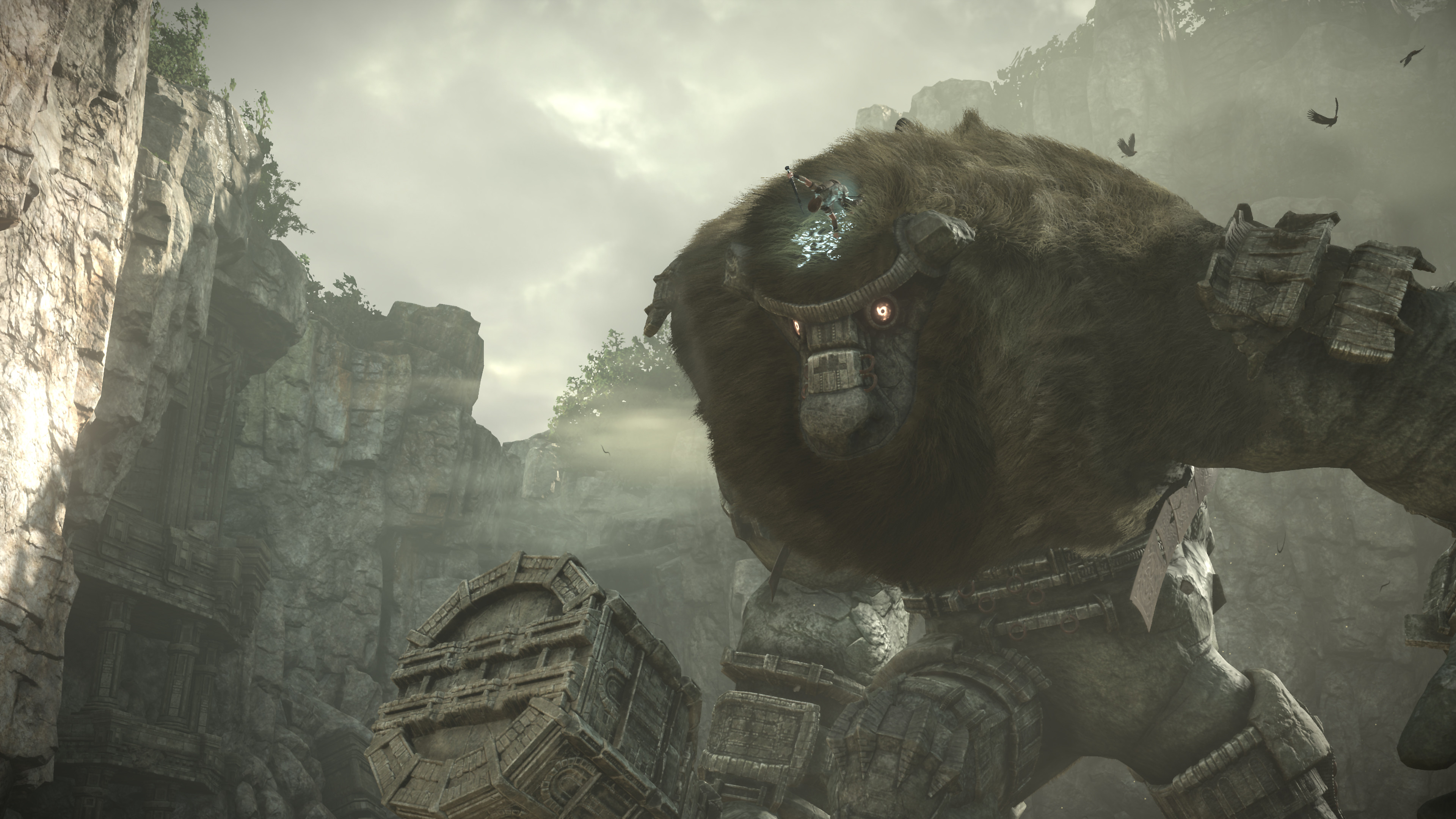 Image result for Shadow of the Colossus