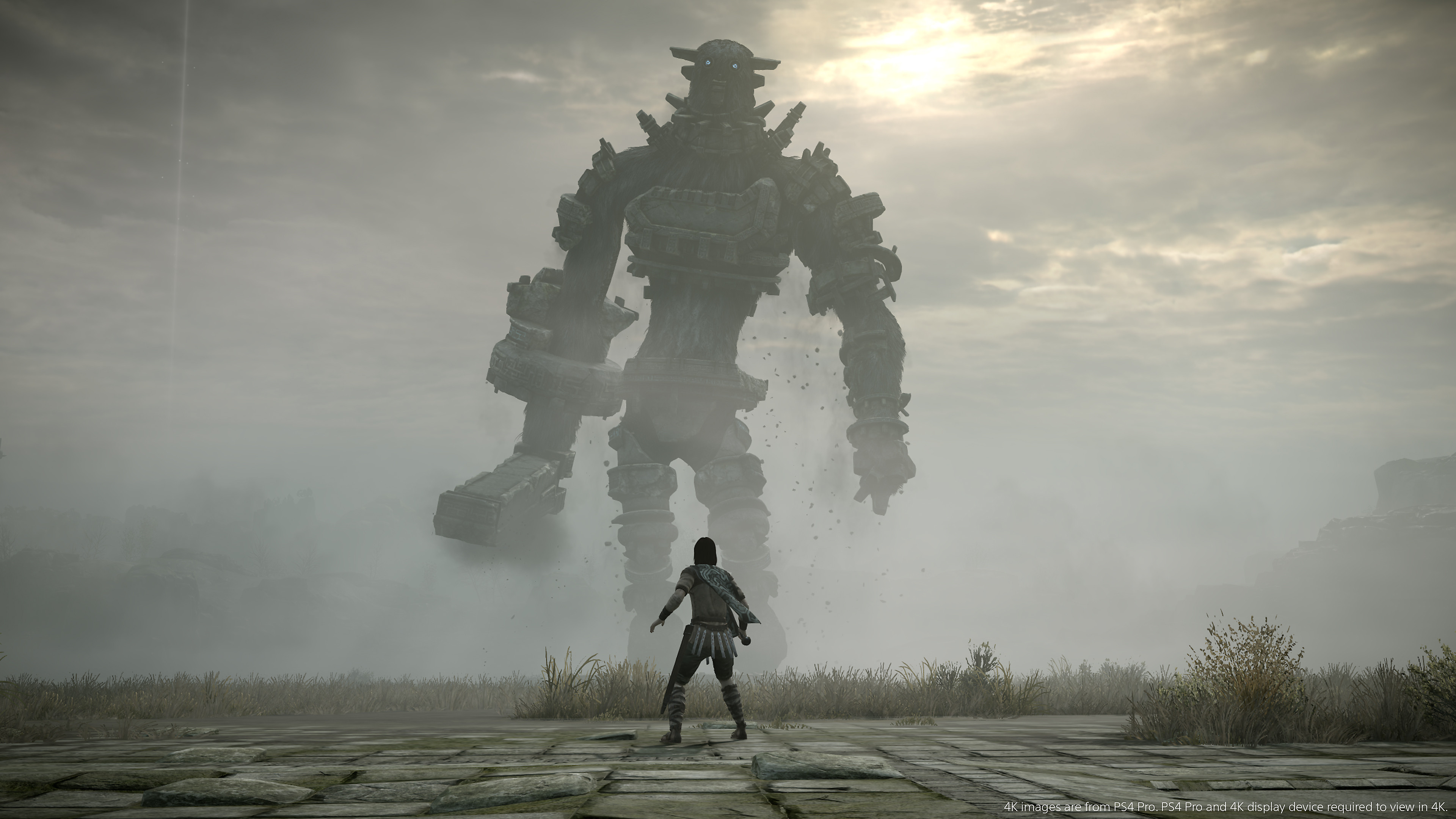 Image result for shadow of the colossus