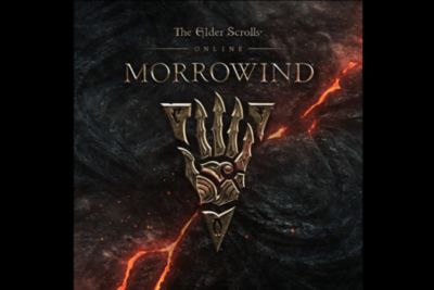 bethesda store morrowind