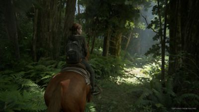 Metacritic Moves to Prevent Sitewide User Reviews Prior to Official  Releases In Response to The Last of Us Part II - Bounding Into Comics
