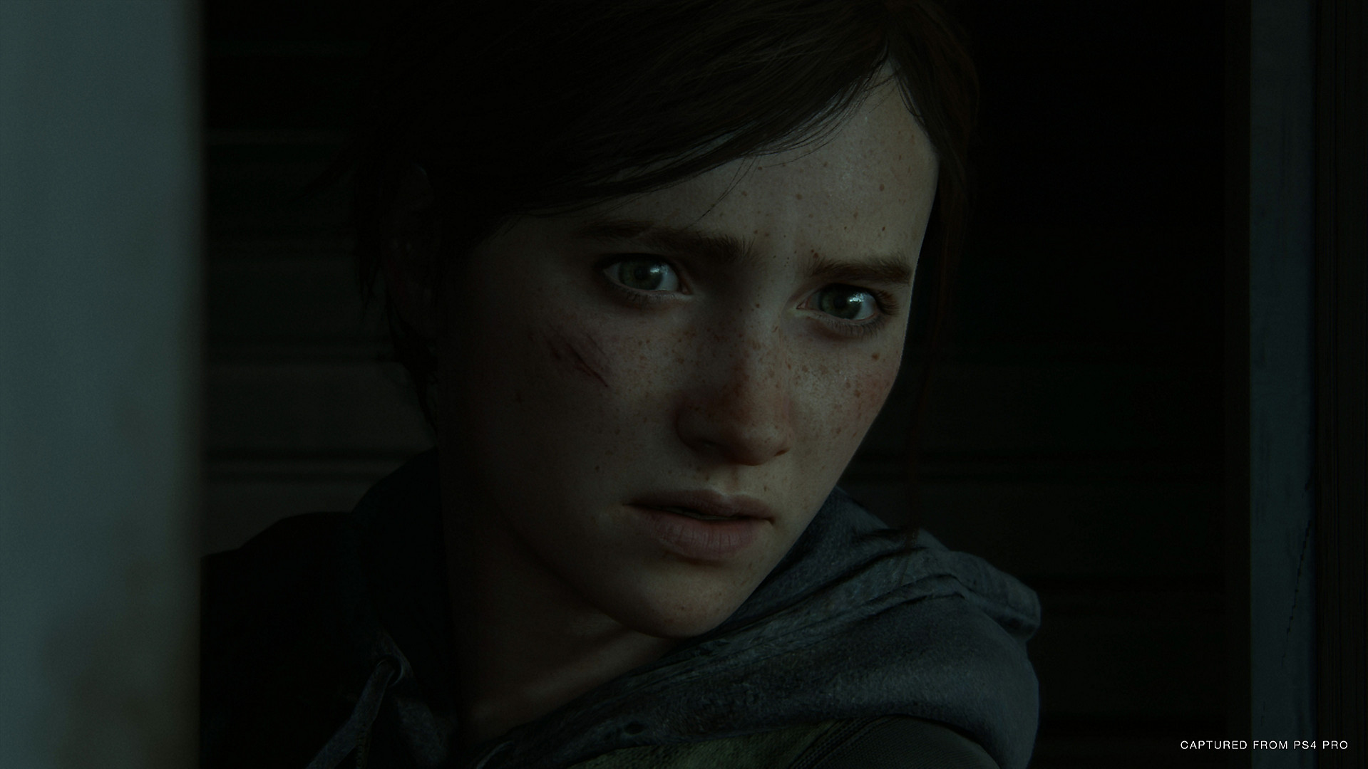 the-last-of-us-state-of-play-screen-02-ps4-us-24sep19