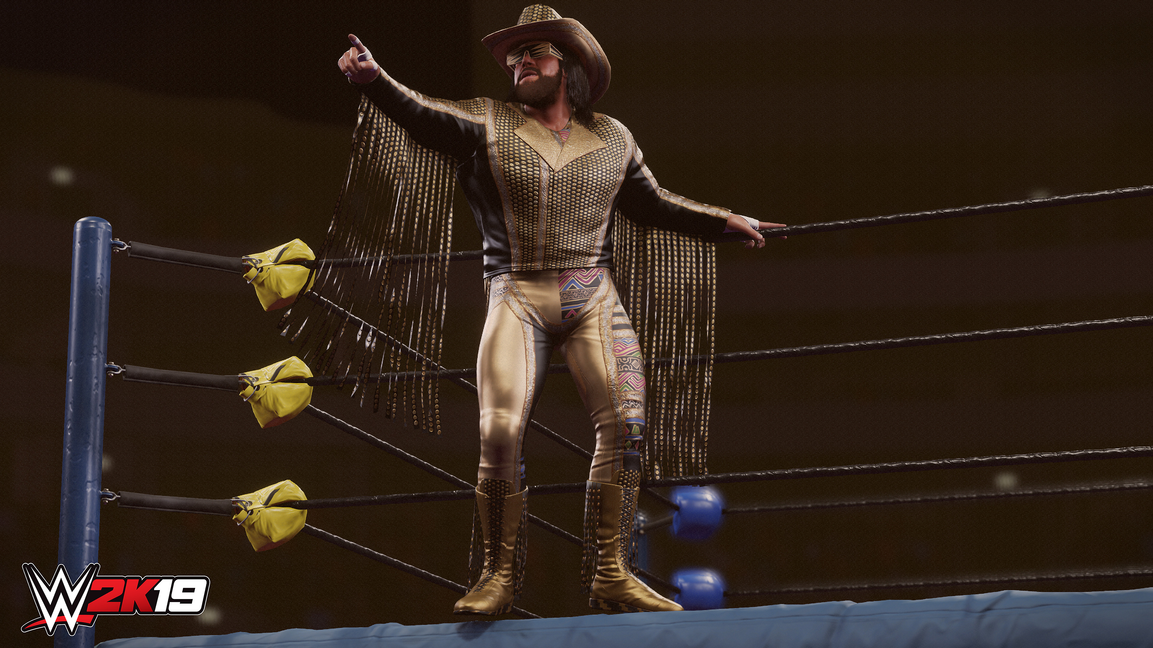 WWE 2K19 - Game Overview Section Background